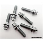 Torx Hd Bolt - 1011 / 2011