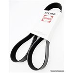 V-Ribbed Belt - TCD 2.9 L4