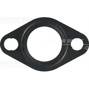 Gasket [Water Line] TCD 3.6 L4