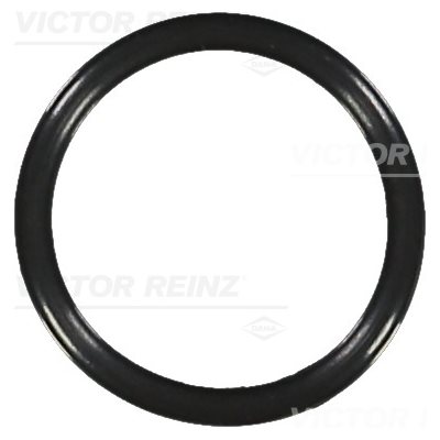 O-Seal [Oil Pump Adapter Tubes] TD / TCD 3.6 L4