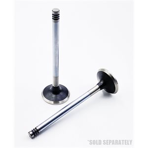 Exhaust Valve [45°] BF 1013 / C / CP / E / EC / ECP / FC / M / MC