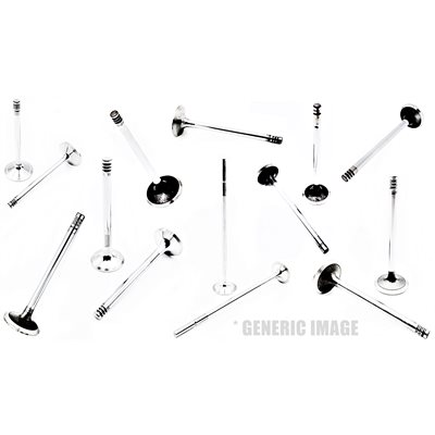 Exhaust Valve [45°] BF 2013 / C