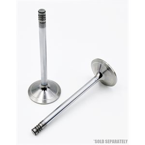 Intake Valve [30°] BF / TCD 1013 / 2013