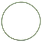 Seal Ring [Cylinder Liner / O-Ring / FPM]