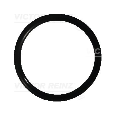 Seal Ring [O-Ring / Camshaft Position Sensor]