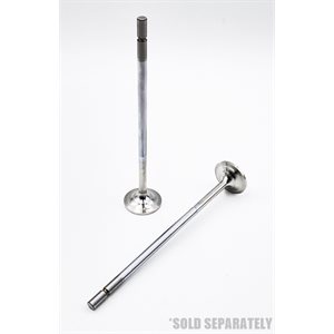 Intake Valve [20°] DD5 / DD8 & OM 934 / 936